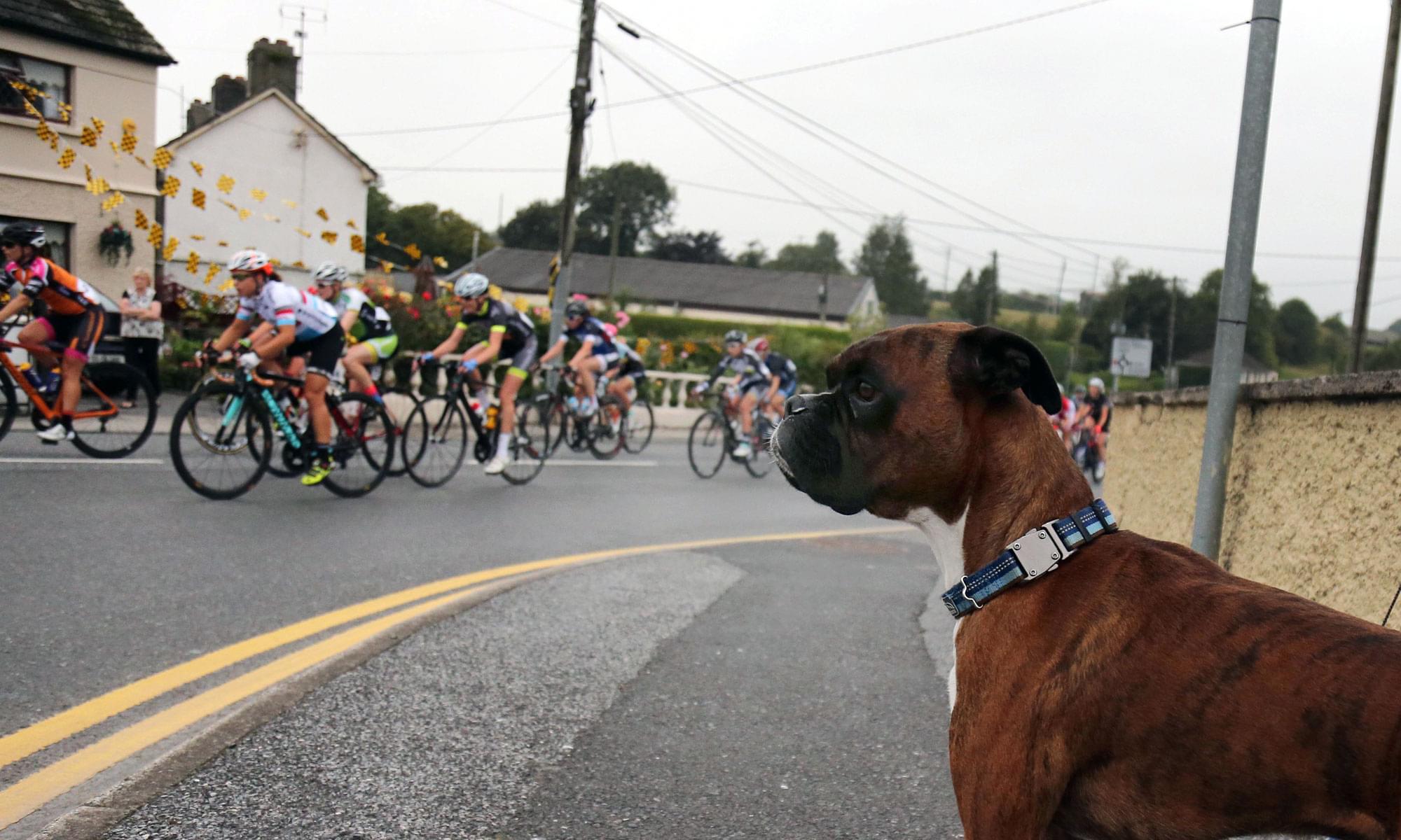 2016 Rás na mBan - Stage 1 - Kilkenny